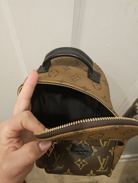 Lv Designer Palm Springs Mini Backpack main image 9